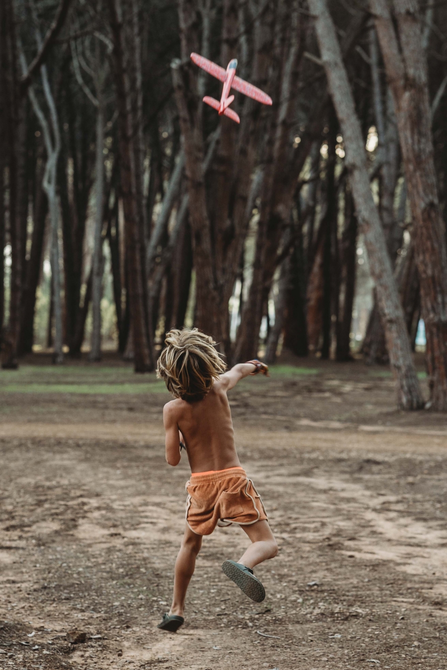 FIH Fotografie » Zuid Afrika